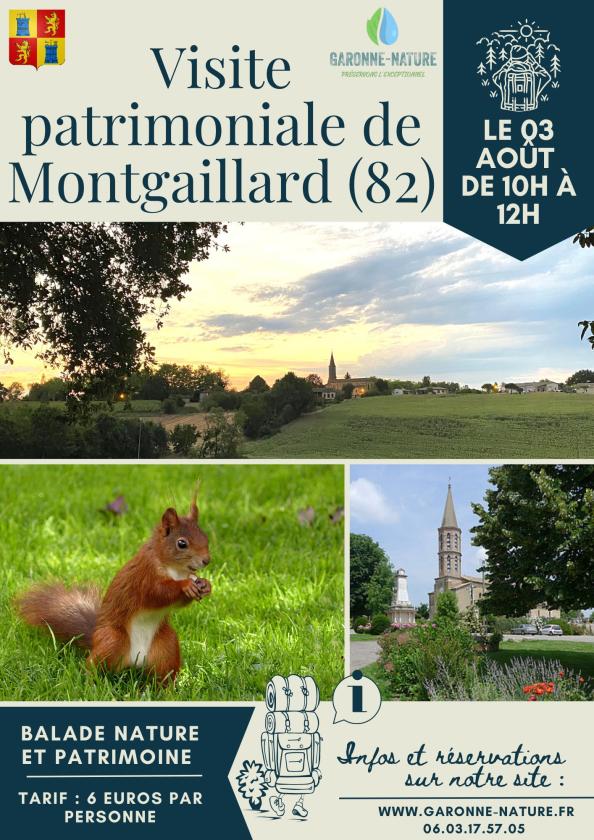 Sortir à MONTGAILLARD(Tarn et Garonne). MONTGAILLARD.