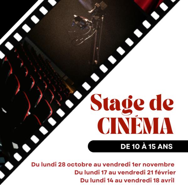 STAGE DE CINÉMA  (1/1)