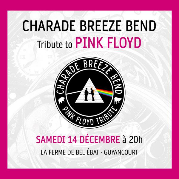 CONCERT PINK FLOYD TRIBUTE À GUYANCOURT