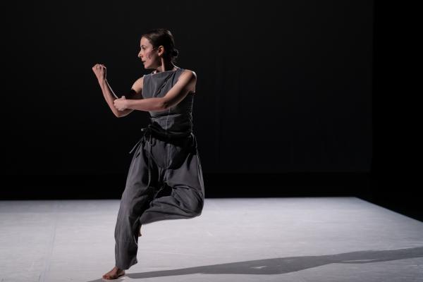 sortie à ROMAINVILLE, Seine Saint Denis. FESTIVAL 2025 - ANNA CHIRESCU - KATA Sortir à ROMAINVILLE(Seine Saint Denis). ROMAINVILLE.