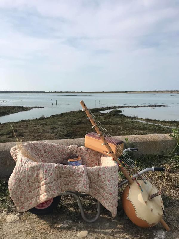 sortie à LOIX, Charente Maritime. BALLADE ENCHANTÉE Sortir à LOIX(Charente Maritime). LOIX.