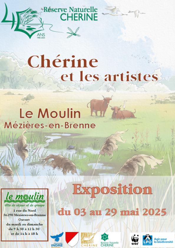 sortie à MEZIERES EN BRENNE, Indre. CHÉRINE ET LES ARTISTES Sortir à MEZIERES EN BRENNE(Indre). MEZIERES EN BRENNE.