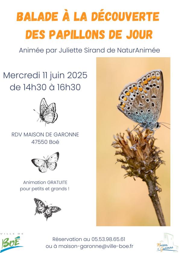 sortie à BOE, Lot et Garonne. BALADE À LA DÉCOUVERTE DES PAPILLONS DE JOUR Sortir à BOE(Lot et Garonne). BOE.