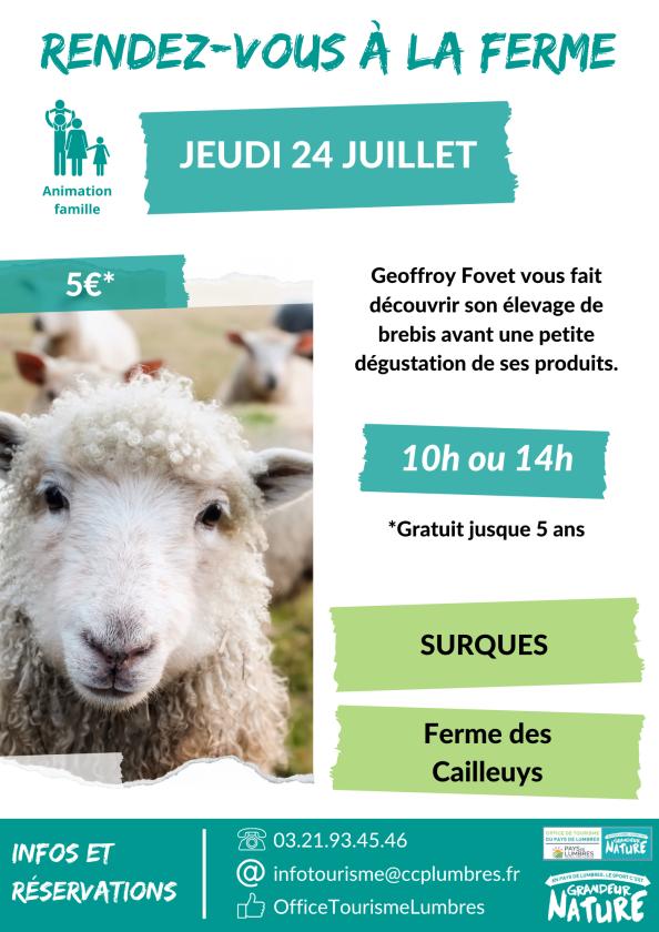 Sortir à SURQUES(Pas de Calais). SURQUES.