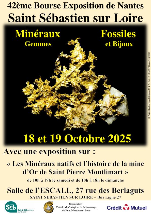 sortie à ST SEBASTIEN SUR LOIRE, Loire Atlantique. BOURSE EXPOSITION-VENTE DE MINÉRAUX ET FOSSILES Sortir à ST SEBASTIEN SUR LOIRE(Loire Atlantique). ST SEBASTIEN SUR LOIRE.