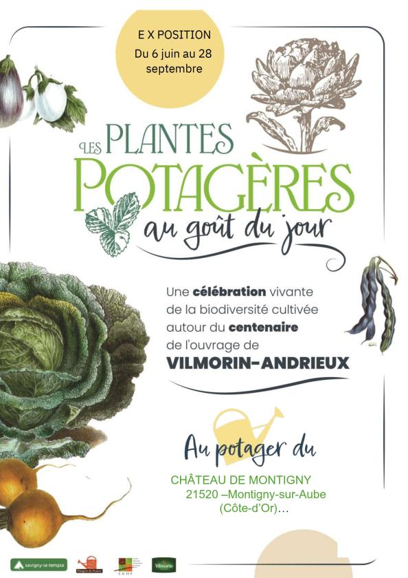 sortie à MONTIGNY SUR AUBE, Côte d'Or. EXPOSITION VILMORIN : LES PLANTES POTAGÈRES Sortir à MONTIGNY SUR AUBE(Côte d'Or). MONTIGNY SUR AUBE.