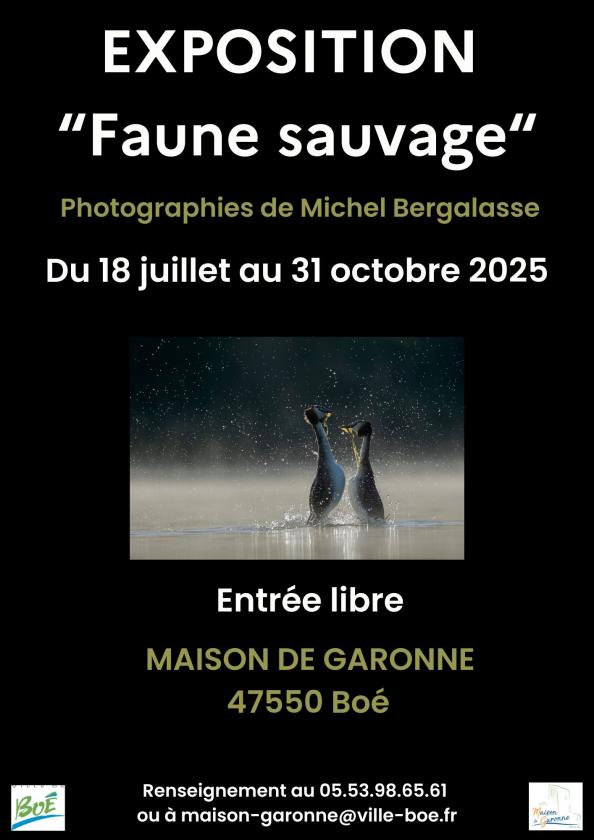 Sortir à BOE(Lot et Garonne). BOE.