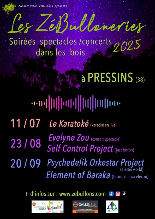 Sortir à PRESSINS(Isère). PRESSINS.