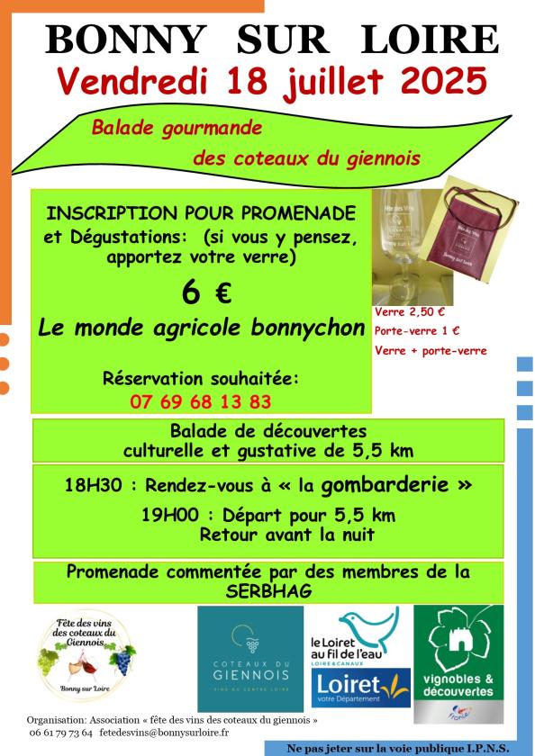 Sortir à BONNY SUR LOIRE(Loiret). BONNY SUR LOIRE.