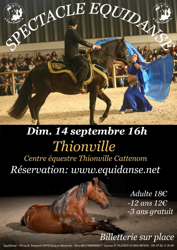 Sortir à THIONVILLE(Moselle). THIONVILLE.