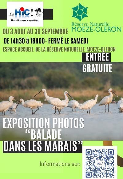 sortie à ST FROULT, Charente Maritime. EXPOSITION PHOTOS " BALADE DANS LES MARAIS" Sortir à ST FROULT(Charente Maritime). ST FROULT.