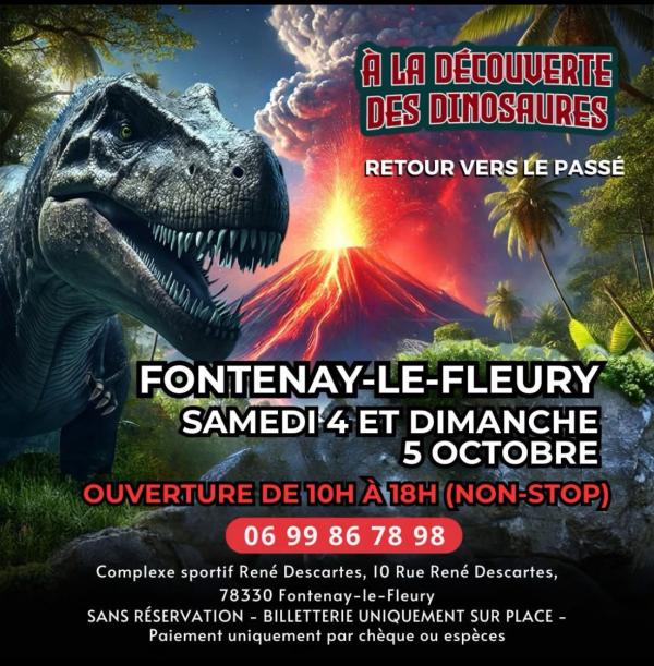 Sortir à FONTENAY LE FLEURY(Yvelines). FONTENAY LE FLEURY.