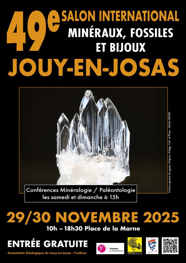 sortie à JOUY EN JOSAS, Yvelines. 49ÈME SALON INTERNATIONAL DES MINÉRAUX, FOSSILES Sortir à JOUY EN JOSAS(Yvelines). JOUY EN JOSAS.