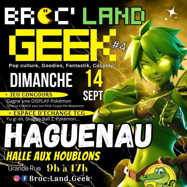 Sortir à HAGUENAU(Bas Rhin). HAGUENAU.