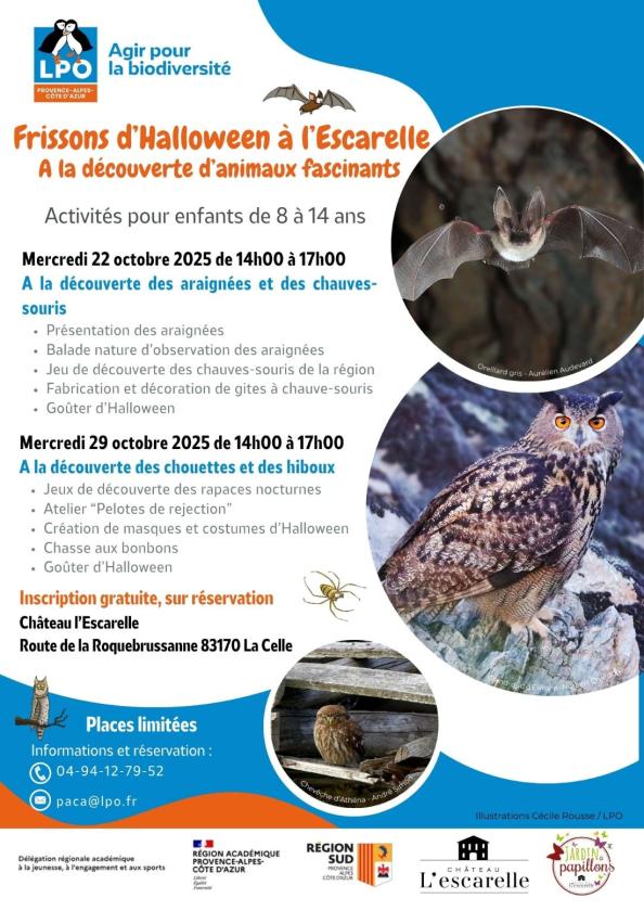 Sortir à LA CELLE(Var). LA CELLE.