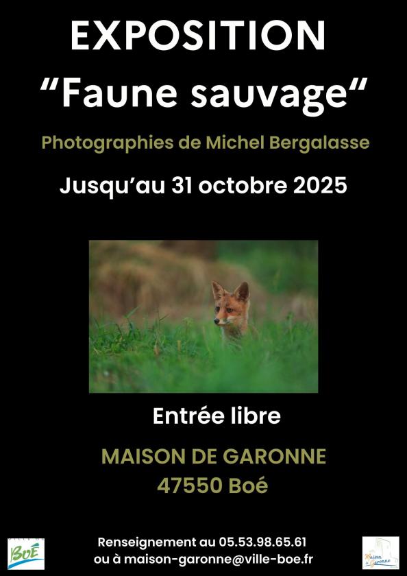 Sortir à BOE(Lot et Garonne). BOE.