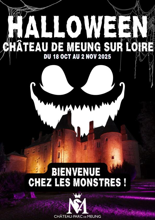 Sortir à MEUNG SUR LOIRE(Loiret). MEUNG SUR LOIRE.