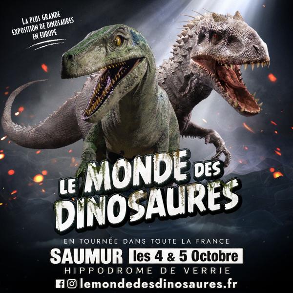 Sortir à SAUMUR(Maine et Loire). SAUMUR.