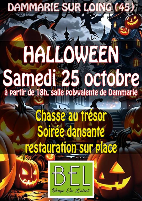 Sortir à DAMMARIE SUR LOING(Loiret). DAMMARIE SUR LOING.