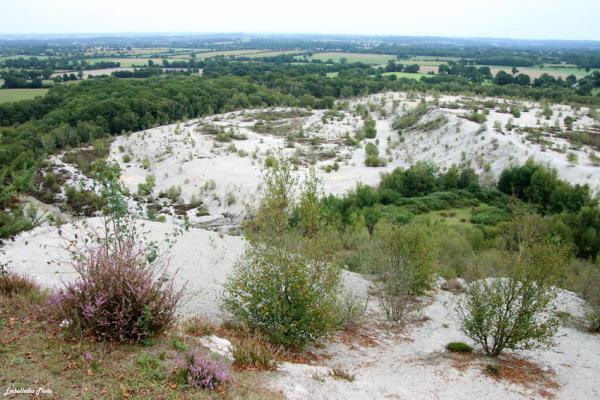 Sortir à ABBARETZ(Loire Atlantique). ABBARETZ.