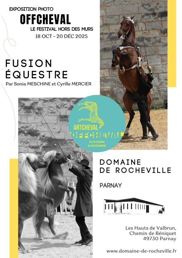 sortie à PARNAY, Maine et Loire. EXPOSITION "FUSION EQUESTRE" Sortir à PARNAY(Maine et Loire). PARNAY.