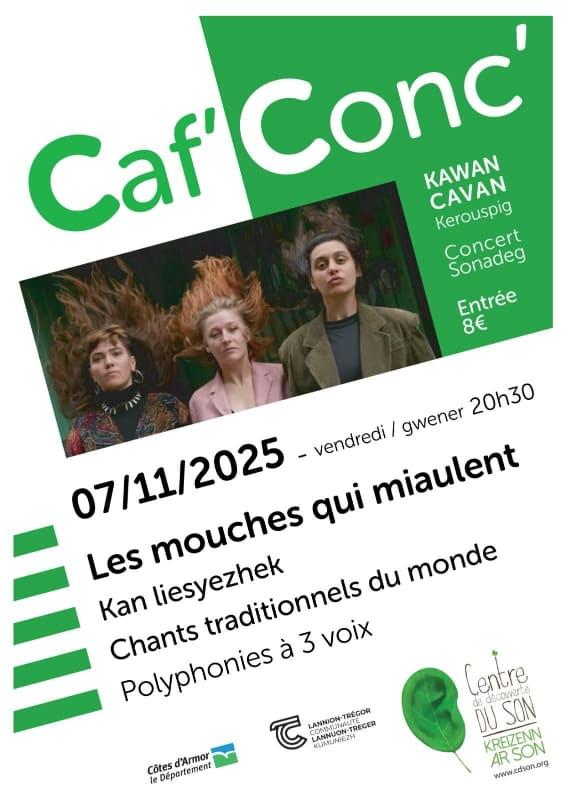 sortie à CAVAN, Côtes d'Armor. CONCERT LES MOUCHES QUI MIAULENT  Sortir à CAVAN(Côtes d'Armor). CAVAN.