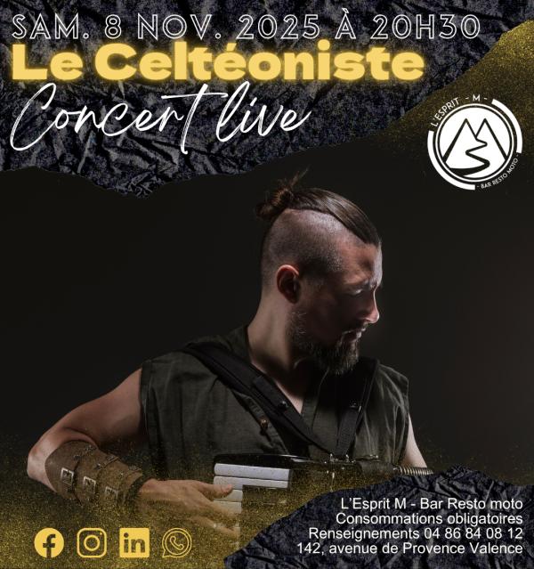 sortie à VALENCE, Drôme. CONCERT LIVE LE CELTÉONISTE Sortir à VALENCE(Drôme). VALENCE.