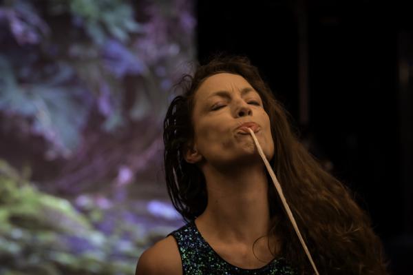 Sortir à MILLAU(Aveyron). MILLAU.