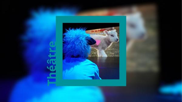 sortie à LE MANS, Sarthe. FAIRE TROUPEAU Sortir à LE MANS(Sarthe). LE MANS.