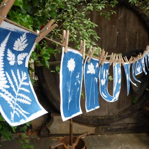 Sortir à CIBOURE(Pyrénées Atlantiques). CIBOURE.