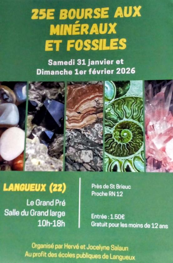 sortie à LANGUEUX, Côtes d'Armor. 25 ÈME SALON EXPOSITION DE MINÉRAUX ET FOSSILES Sortir à LANGUEUX(Côtes d'Armor). LANGUEUX.