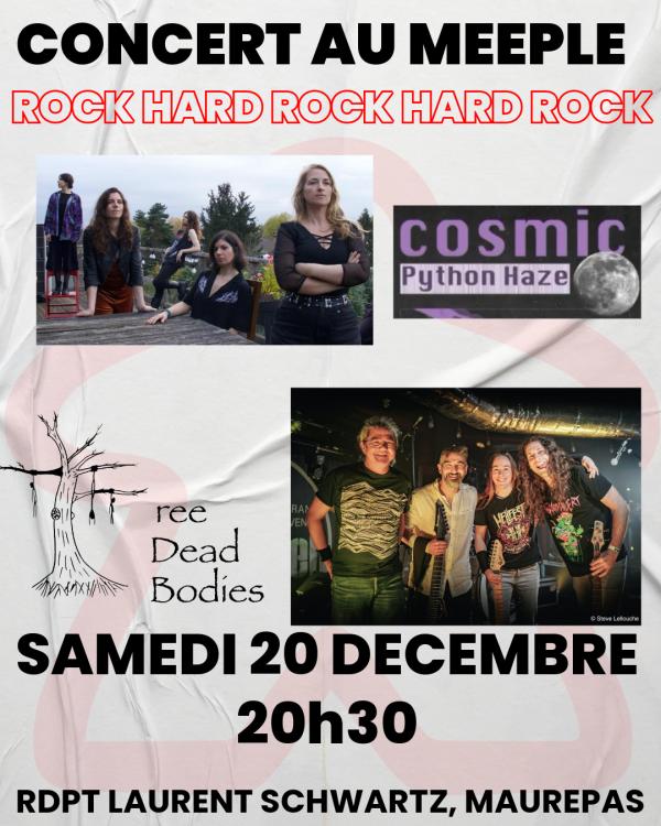 sortie à MAUREPAS, Yvelines. CONCERT ROCK & HARD ROCK AU MEEPLE Sortir à MAUREPAS(Yvelines). MAUREPAS.