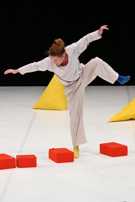 sortie à AMBARES ET LAGRAVE, Gironde. LES ZÉBOULIS – COLLECTIF A.A.O Sortir à AMBARES ET LAGRAVE(Gironde). AMBARES ET LAGRAVE.