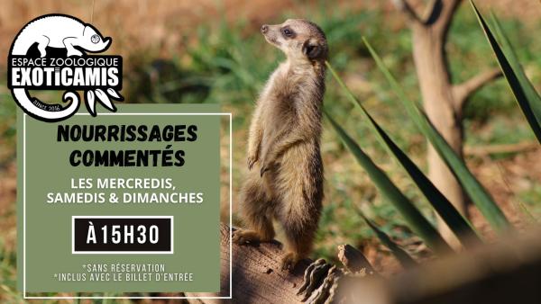 Sortir à FAUCH(Tarn). FAUCH.