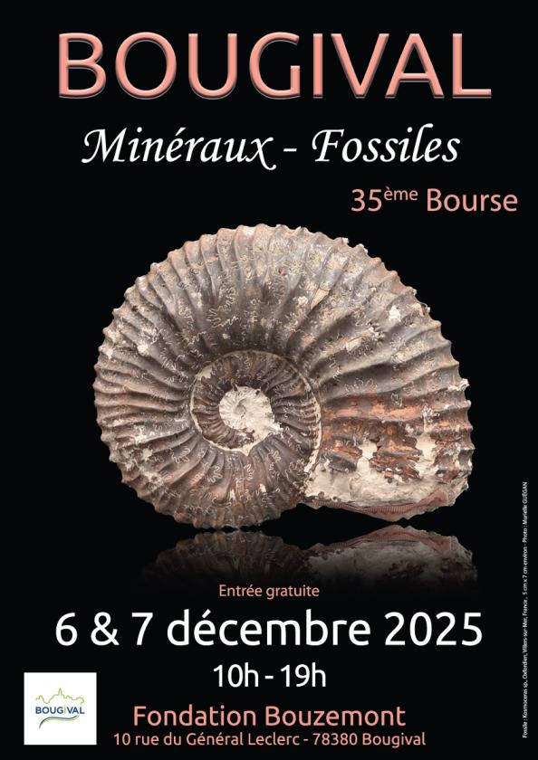 Sortir à BOUGIVAL(Yvelines). BOUGIVAL.