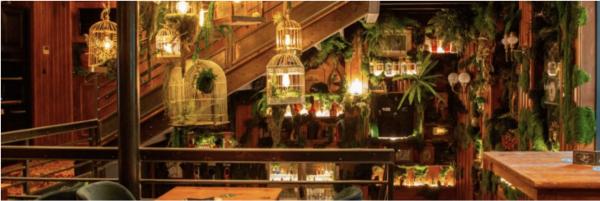 Sortir à TOULOUSE(Haute Garonne). TOULOUSE.