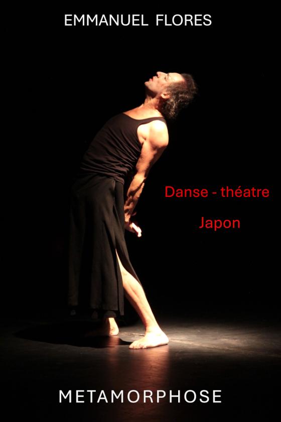 Sortir à TOULOUSE(Haute Garonne). TOULOUSE.