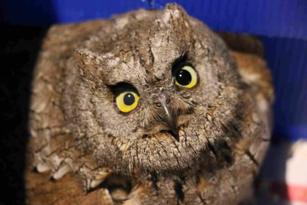 Sortir à TOULON(Var). TOULON.