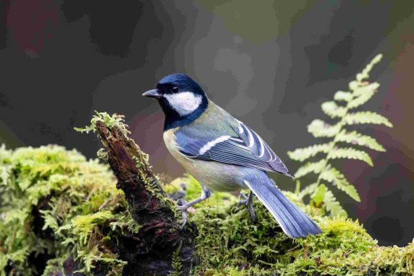 Sortir à TOULON(Var). TOULON.