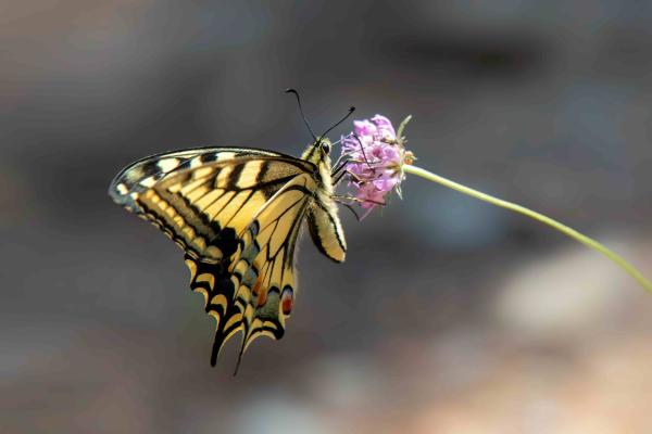 Sortir à TOULON(Var). TOULON.