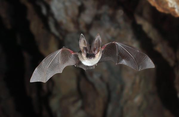 Sortir à TOULON(Var). TOULON.