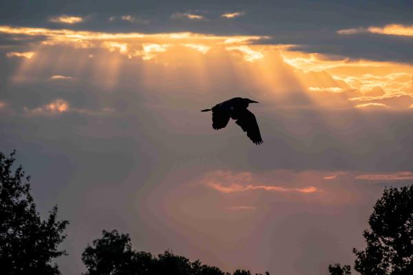 Sortir à TOULON(Var). TOULON.