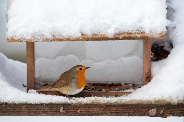 Sortir à TOULON(Var). TOULON.