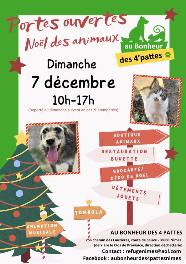 Sortir à NIMES(Gard). NIMES.