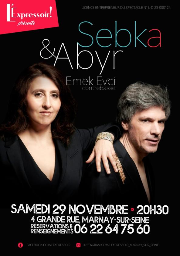 Sortir à MARNAY SUR SEINE(Aube). MARNAY SUR SEINE.