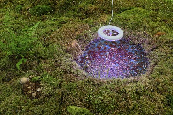 Sortir à VENISSIEUX(Rhône). VENISSIEUX.