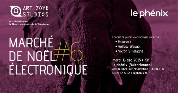 sortie à VALENCIENNES, Nord. MARCHÉ DE NOËL ÉLECTRONIQUE #6 Sortir à VALENCIENNES(Nord). VALENCIENNES.