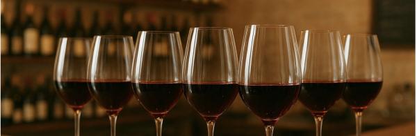 Sortir à TREMBLAY EN FRANCE(Seine Saint Denis). TREMBLAY EN FRANCE.