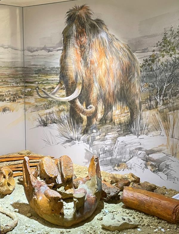 Sortir à SOYONS(Ardèche). SOYONS.