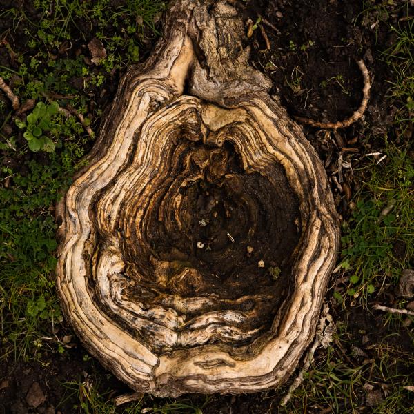 Sortir &agrave; ST OUEN L AUMONE(Val d'oise). ST OUEN L AUMONE.